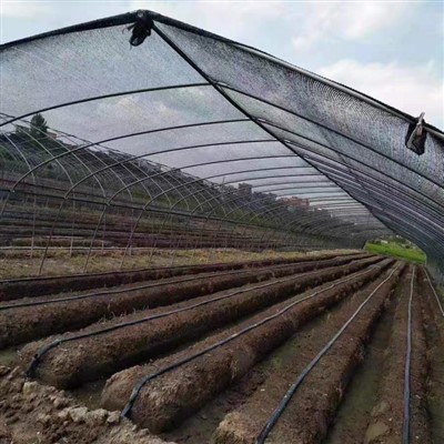 Πανί Μαύρης Σκιάς για Θερμοκήπιο